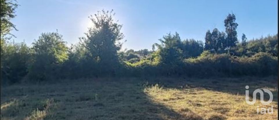 Agricultural land in Seixo da Beira of 31,075 m²