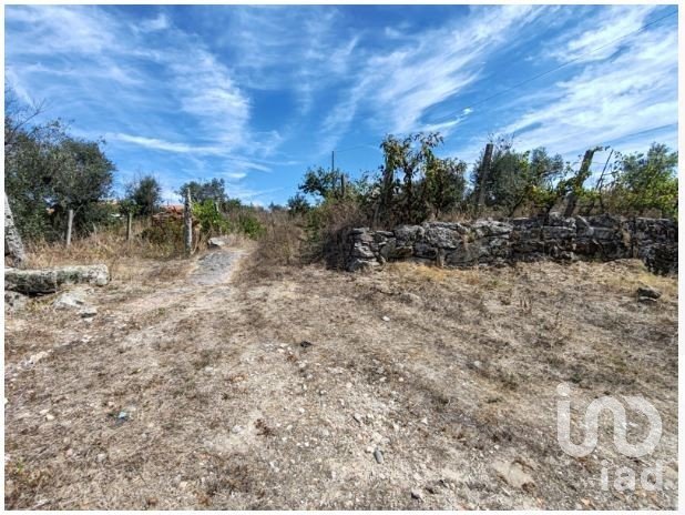 Terrain agricole à Seixo da Beira de 2 538 m²