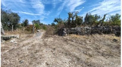 Farm land in Seixo da Beira of 2,538 m²