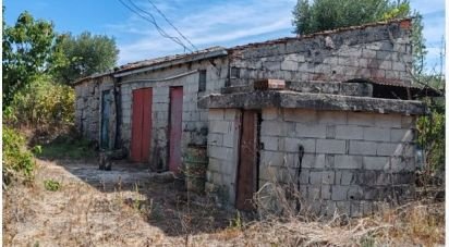 Terreno Agrícola em Seixo da Beira de 2 538 m²