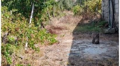 Terreno Agrícola em Seixo da Beira de 2 538 m²