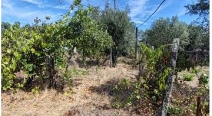 Terreno Agrícola em Seixo da Beira de 2 538 m²