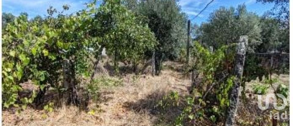 Agricultural land in Seixo da Beira of 2,538 m²