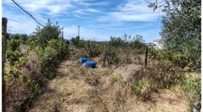 Terrain agricole à Seixo da Beira de 2 538 m²