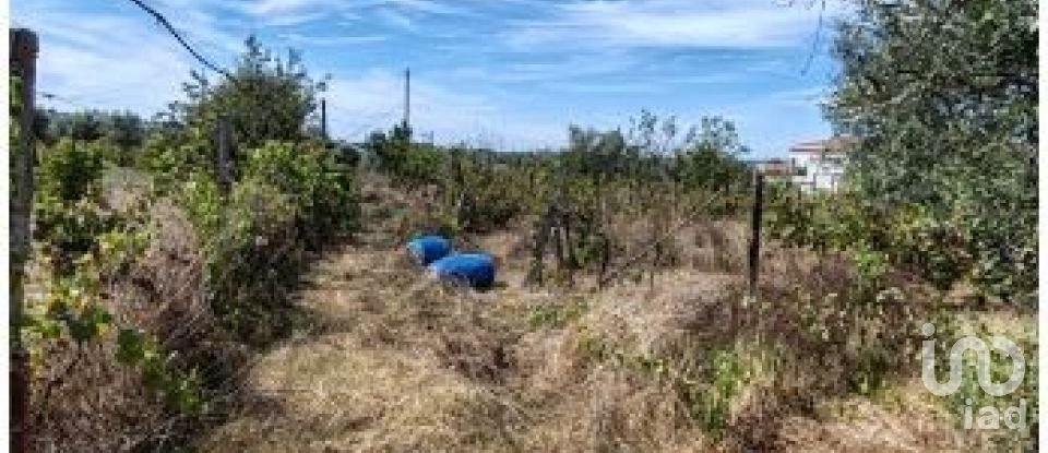 Terrain agricole à Seixo da Beira de 2 538 m²