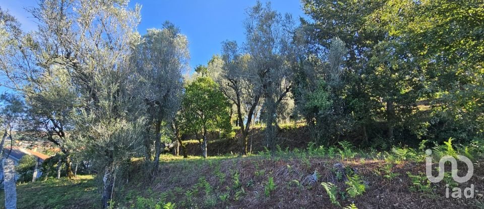 Land in Fornelos e Queijada of 1,730 m²