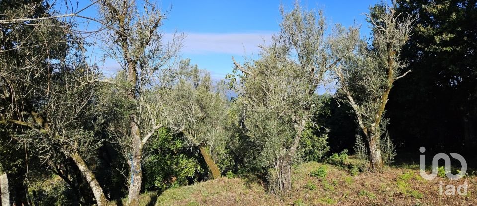 Land in Fornelos e Queijada of 1,730 m²