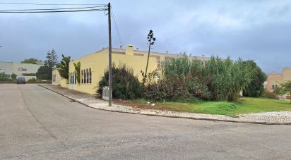 Shop / premises commercial in Colares of 221 m²