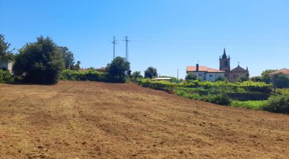 Terrain à Cervães de 3 000 m²