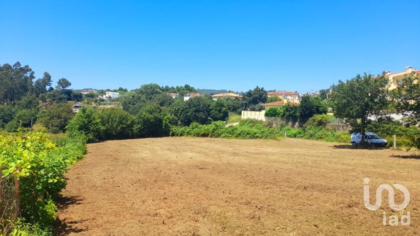 Land in Cervães of 3,000 m²