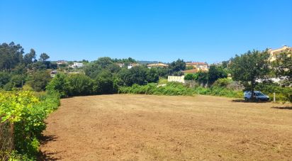 Terreno em Cervães de 3 000 m²