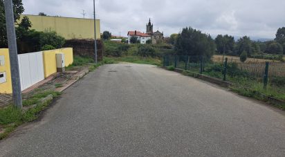 Land in Cervães of 3,000 m²