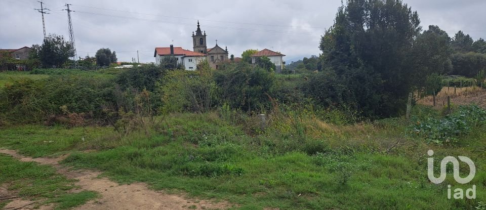 Terreno em Cervães de 3 000 m²