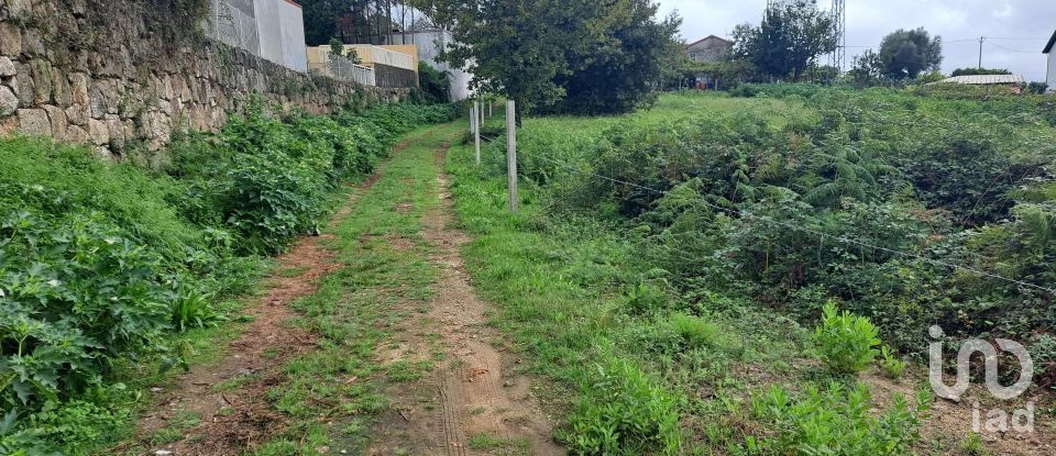 Terreno em Cervães de 3 000 m²