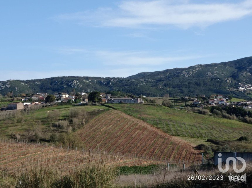 Terreno para construção em Lamas e Cercal de 1 000 m²