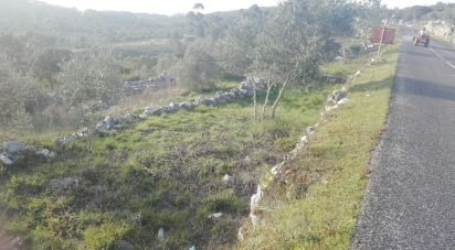 Land in Mira de Aire of 2,720 m²