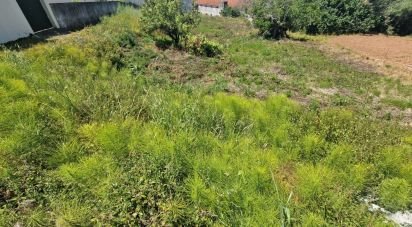 Building land in Lamas e Cercal of 520 m²