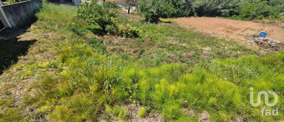 Terreno para construção em Lamas e Cercal de 520 m²