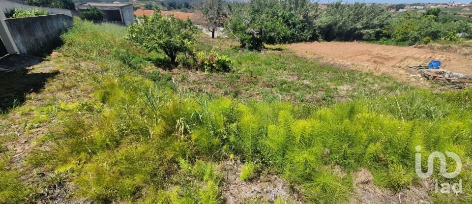 Terreno para construção em Lamas e Cercal de 520 m²