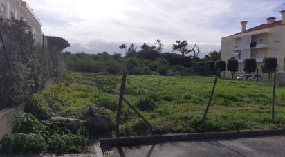 Terreno em A dos Cunhados e Maceira de 5 305 m²