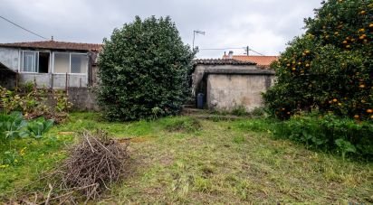 Maison de village T3 à Carvalho de 254 m²