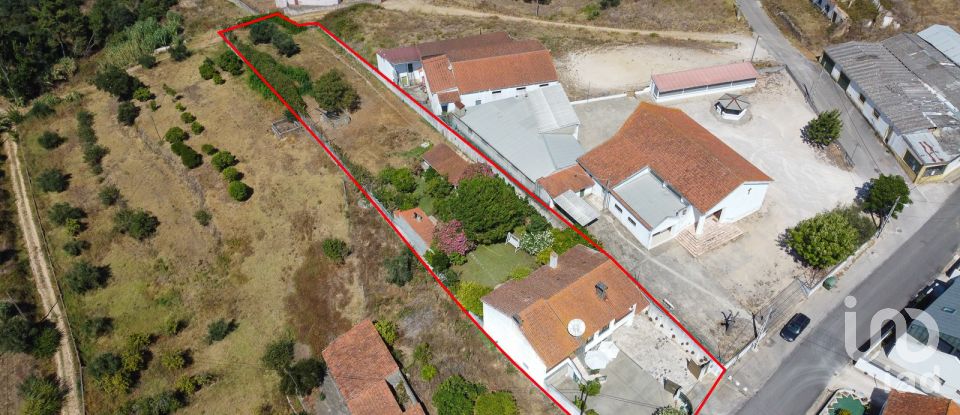 Habitação T3 em São Pedro de Tomar de 335 m²