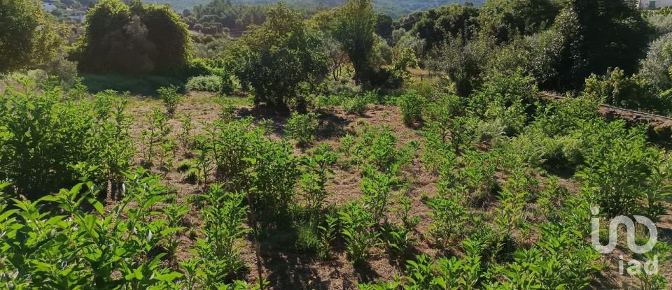 Terreno para construção em Mosteiro de 669 m²