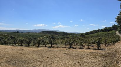 Terrain à Peral de 2 514 m²