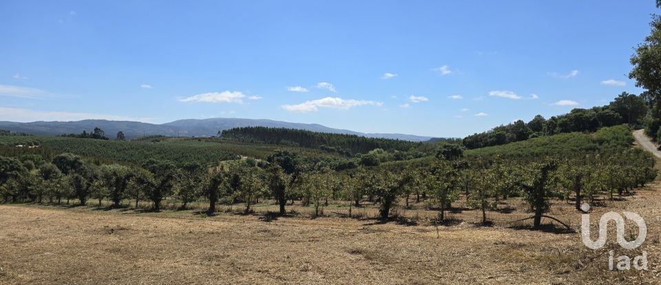 Land in Peral of 2,514 m²