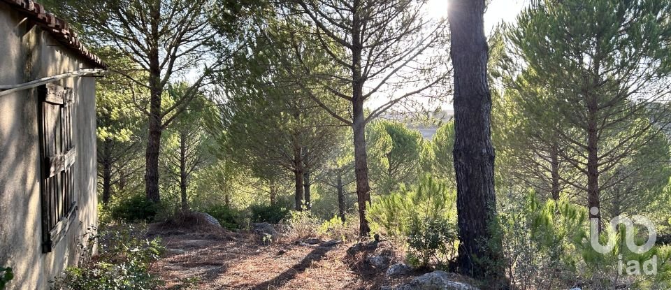 Terreno para construção em Abitureiras de 41 600 m²