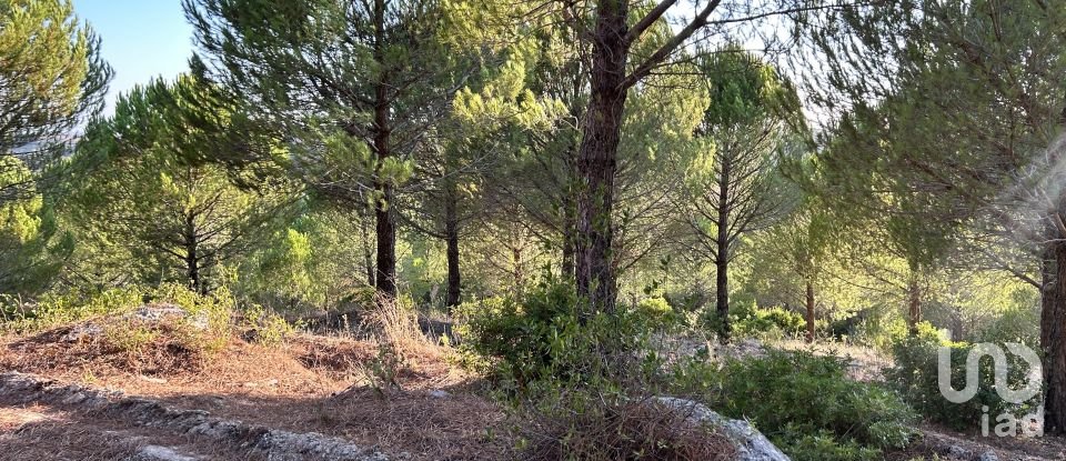 Terreno para construção em Abitureiras de 41 600 m²