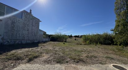 Terrain à bâtir à Montenegro de 245 m²