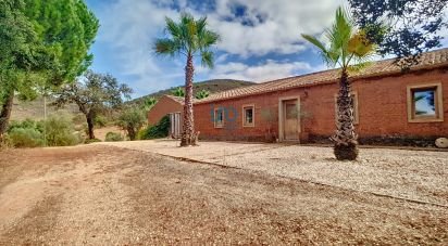 House T4 in São Bartolomeu de Messines of 595 m²