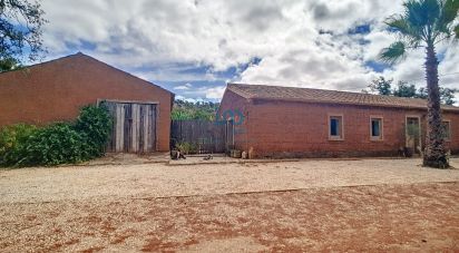 House T4 in São Bartolomeu de Messines of 595 m²