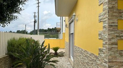 Gîte T4 à Bustos, Troviscal e Mamarrosa de 217 m²