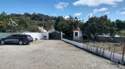 House T3 in Barrancos of 150 m²