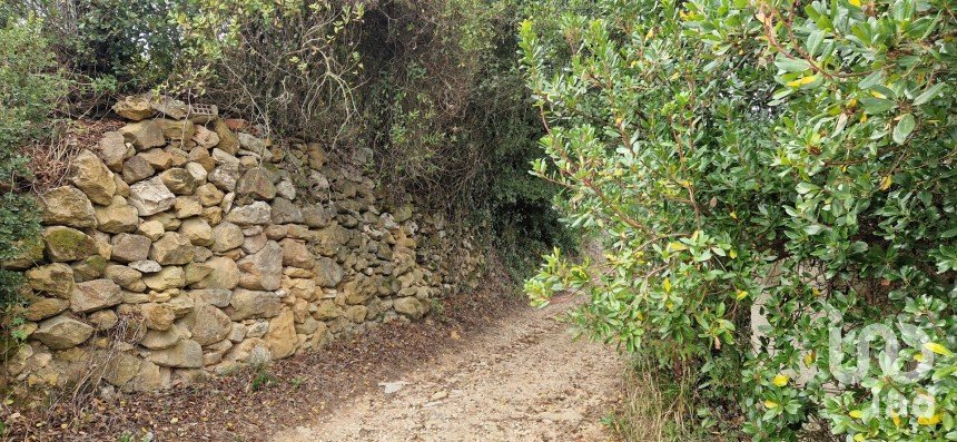 Terrain à Mafra de 12 247 m²