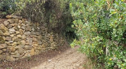 Land in Mafra of 12,247 m²