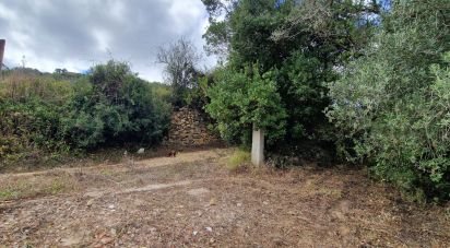 Land in Mafra of 12,247 m²