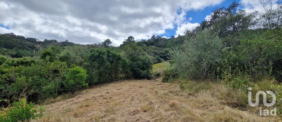 Terrain à Mafra de 12 247 m²