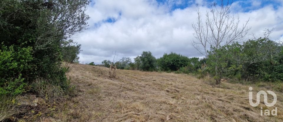 Terrain à Mafra de 12 247 m²