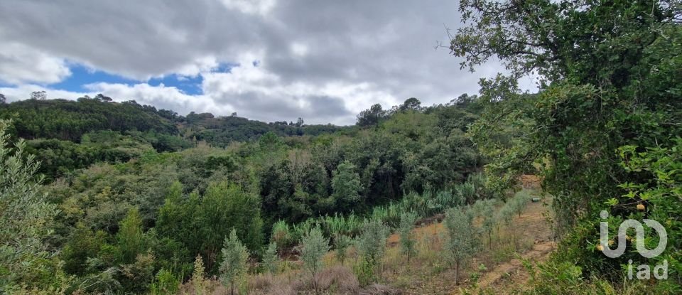 Terrain à Mafra de 12 247 m²