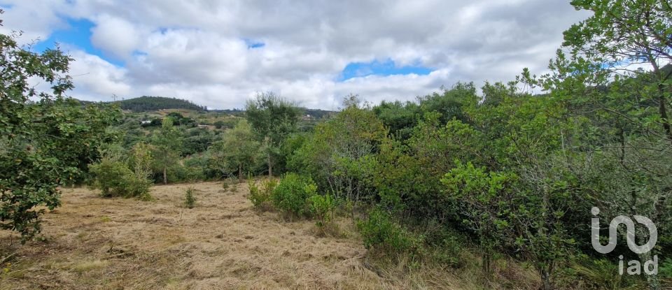 Terrain à Mafra de 12 247 m²