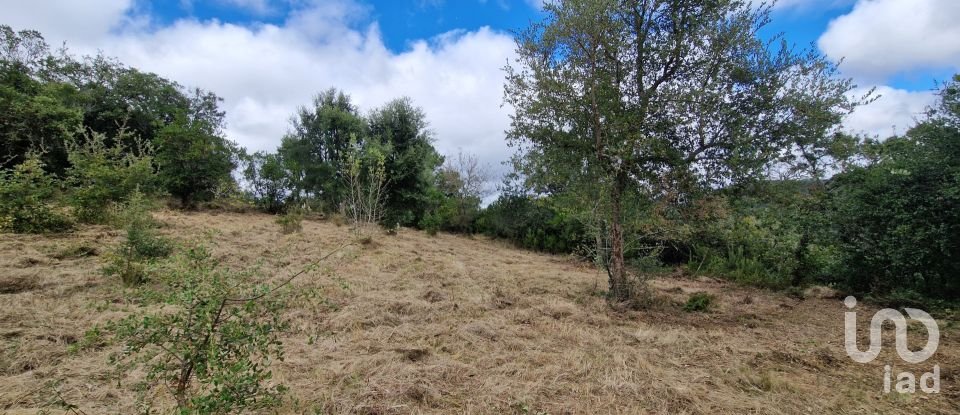 Terrain à Mafra de 12 247 m²