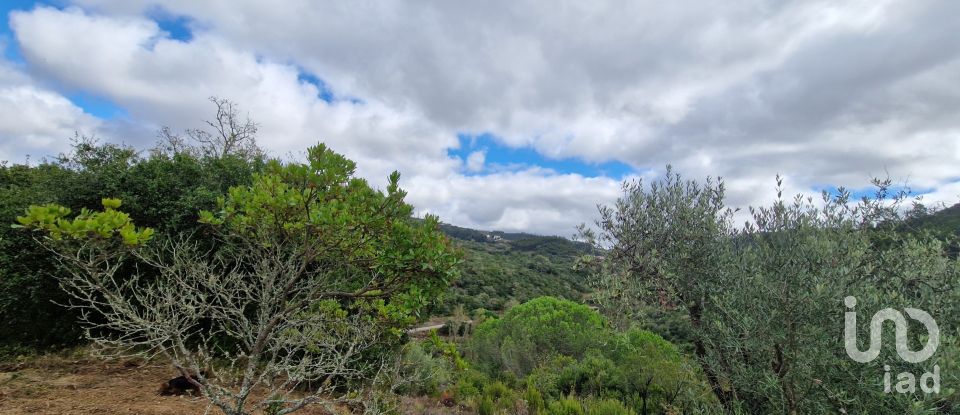 Terrain à Mafra de 12 247 m²