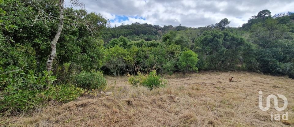 Terrain à Mafra de 12 247 m²