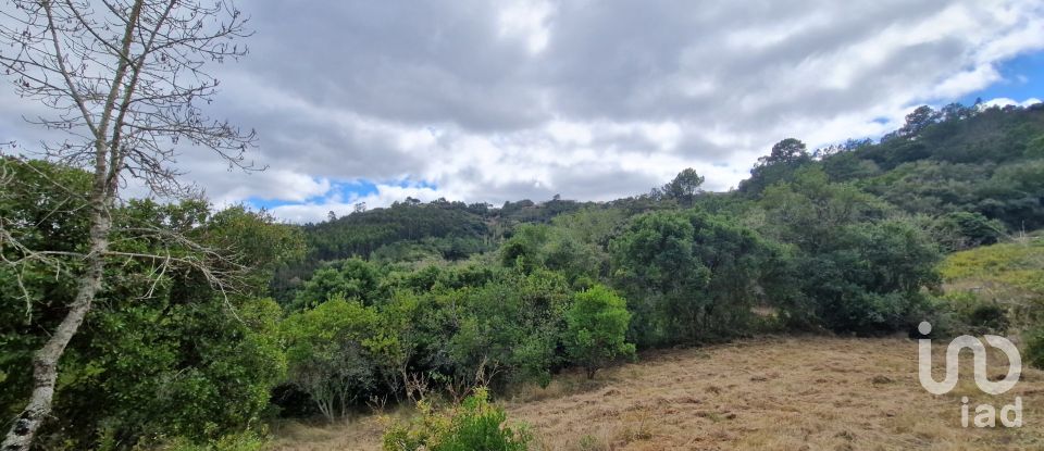 Terrain à Mafra de 12 247 m²