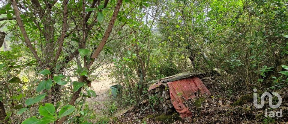 Terrain à Mafra de 12 247 m²