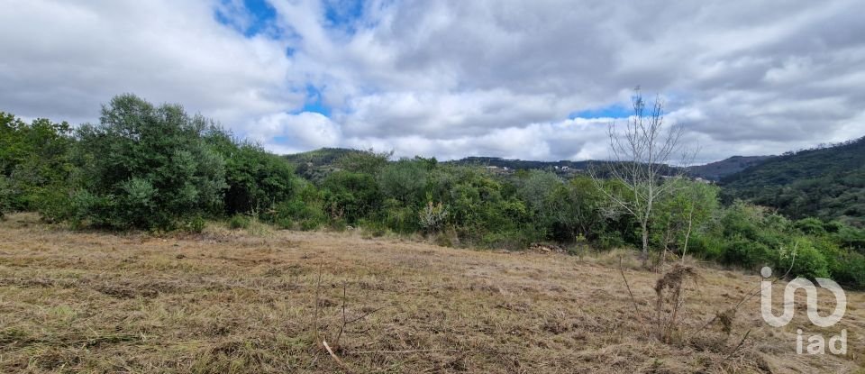 Terrain à Mafra de 12 247 m²