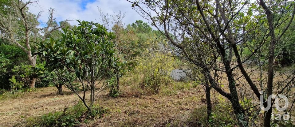 Terrain à Mafra de 12 247 m²